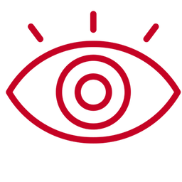 Our Vision